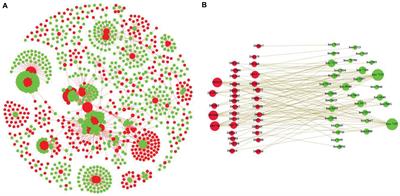 Cascade Deep Forest With Heterogeneous Similarity Measures for Drug–Target Interaction Prediction